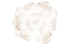 2014 04 26 Afternoon From Blanks 19-white.jpg